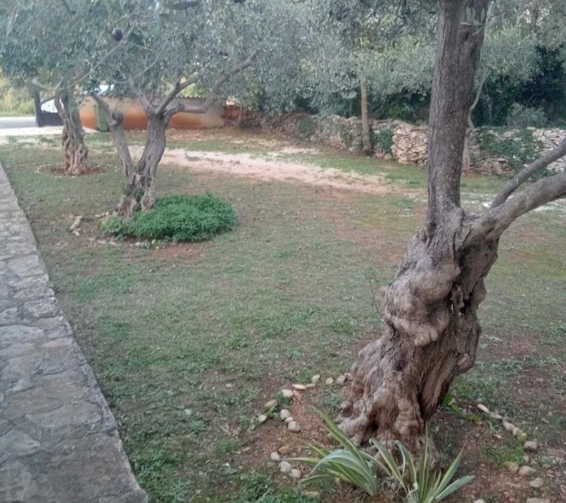 Photo of Outdoor in Mali Vareski