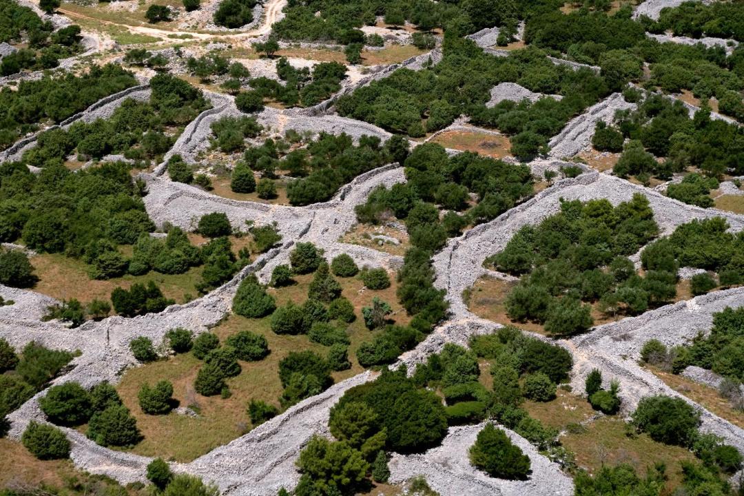 Photo of Others in Tribulje