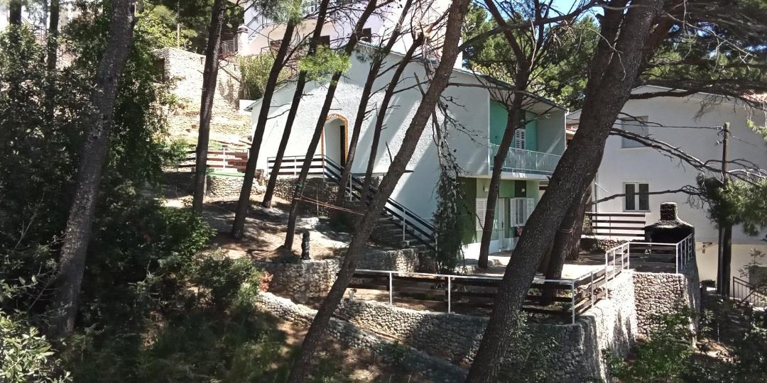 Photo of Others in Marusici