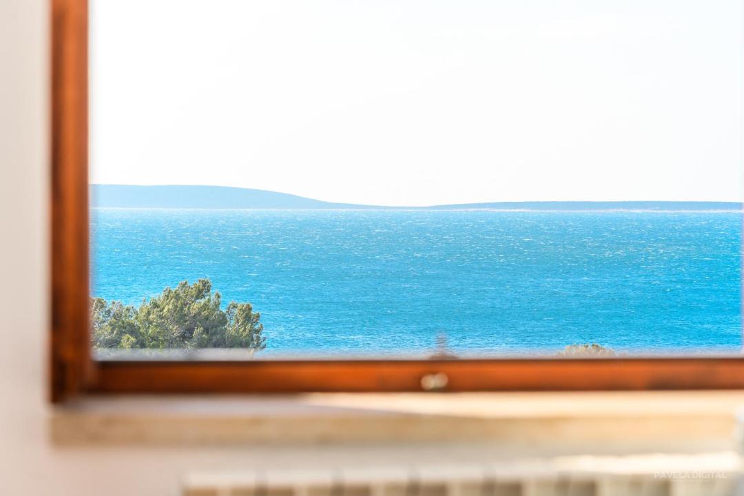 Photo of Others in Miholascica