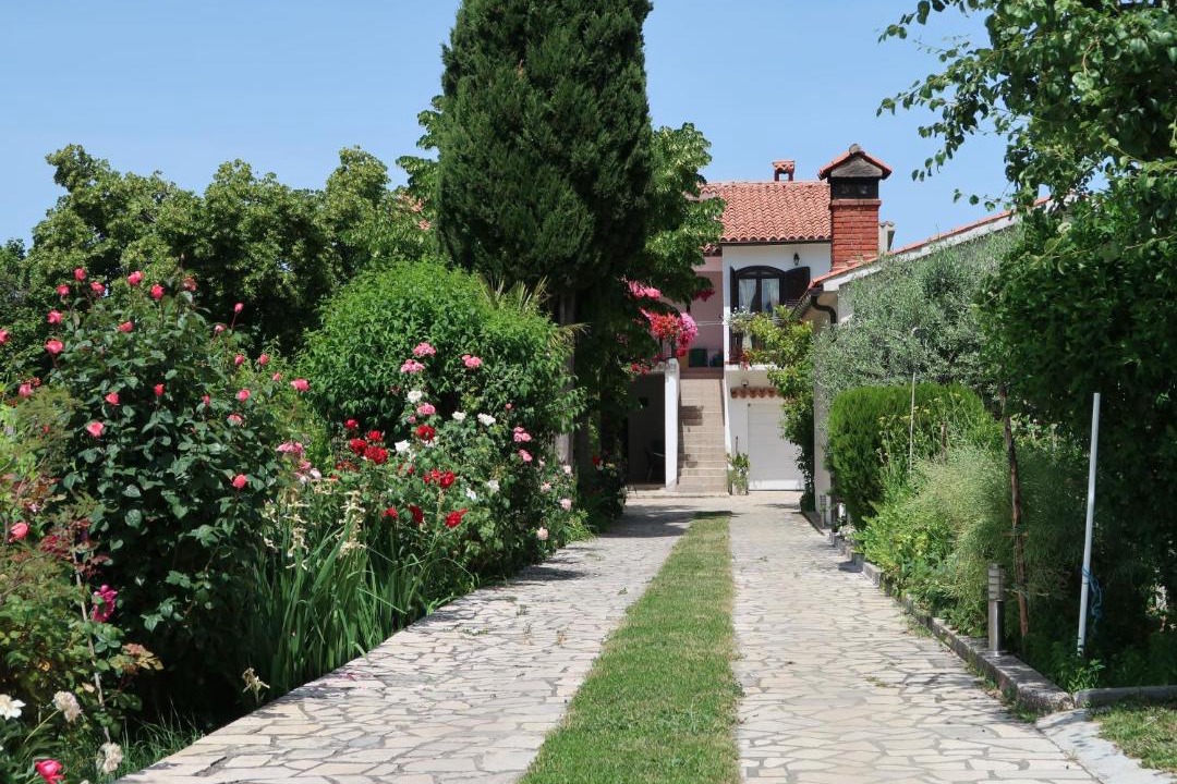 Photo of Others in Labin