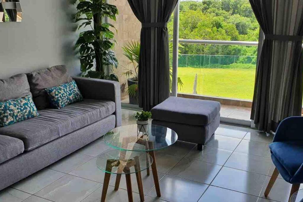 Photo of Livingroom in Boca del Rio