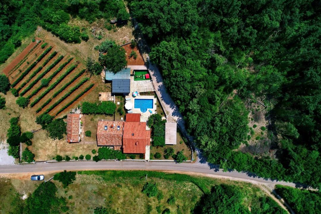 Photo of Others in Snasici