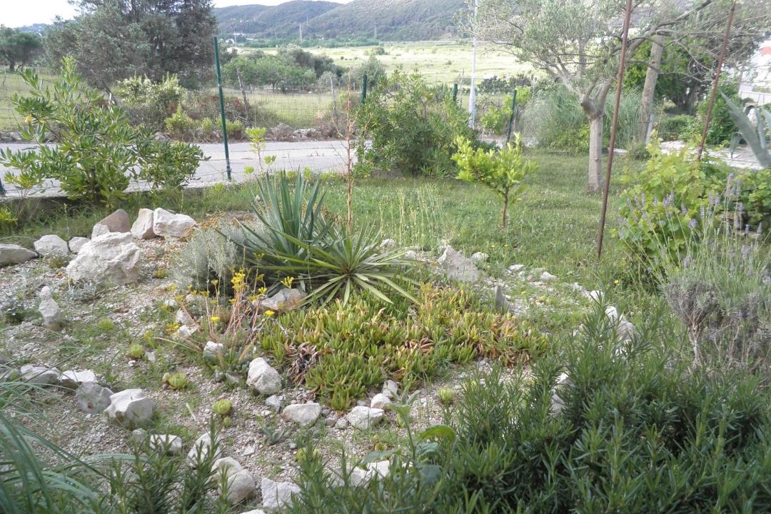 Photo of Others in Supetarska Draga
