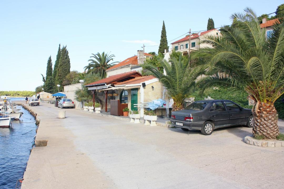 Photo of Others in Maslinica