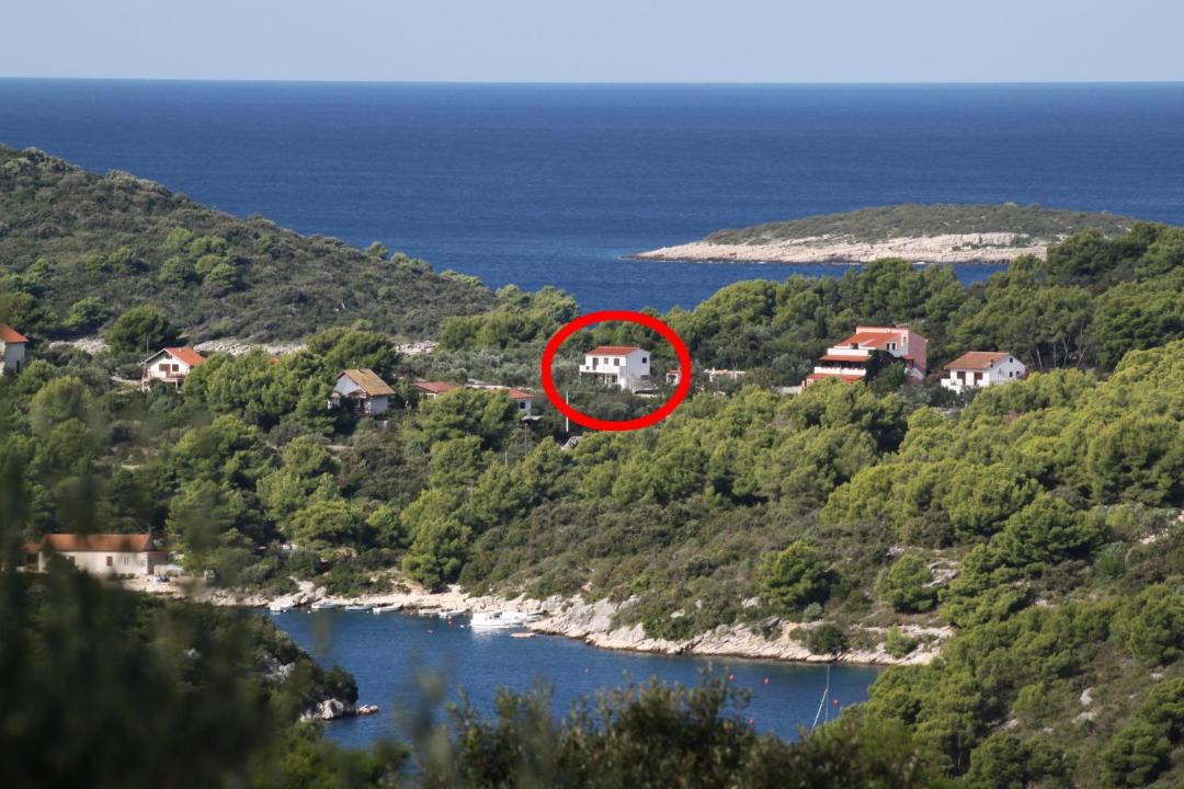 Photo of Others in Maslinica