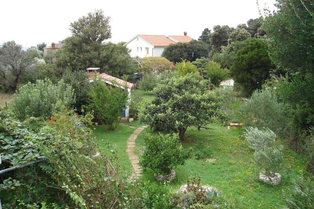 Photo of Others in Suha Punta
