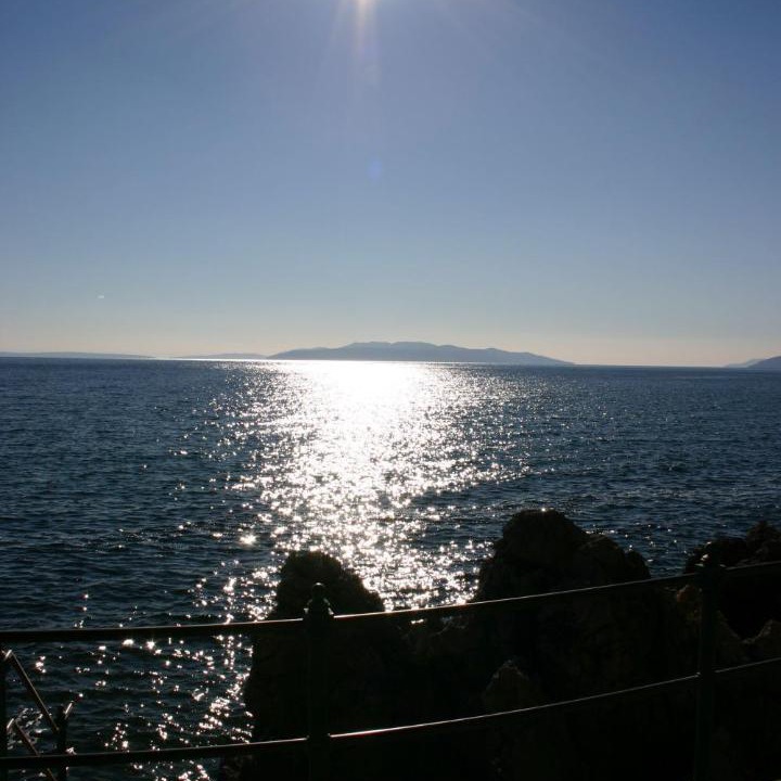 Photo of Others in Volosko