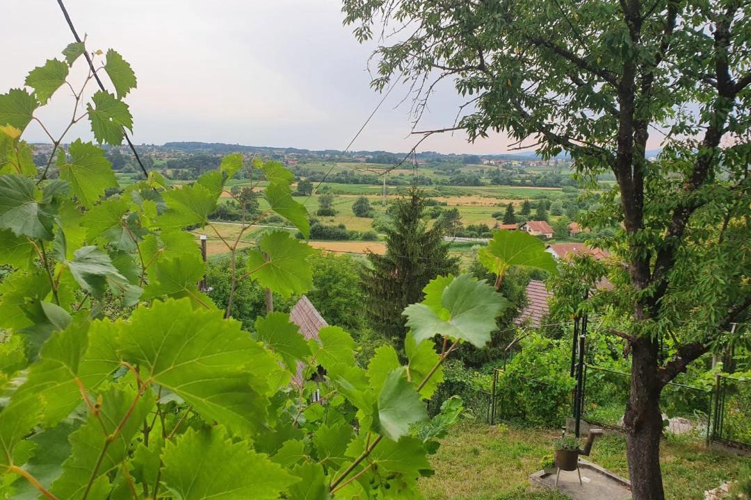 Photo of Outdoor in Andrasevec