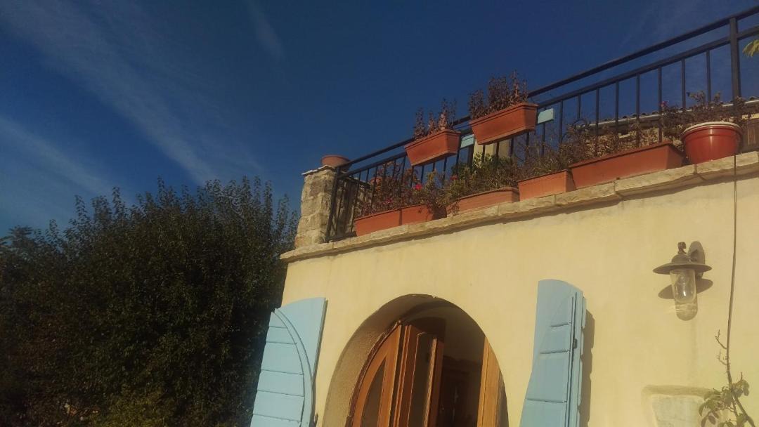 Photo of Others in Motovun