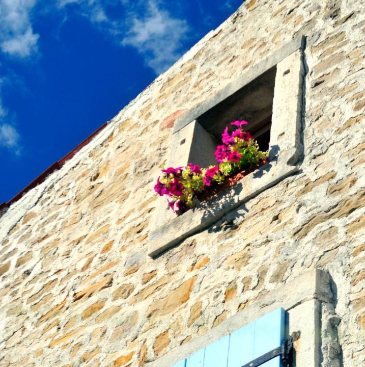 Photo of Others in Motovun