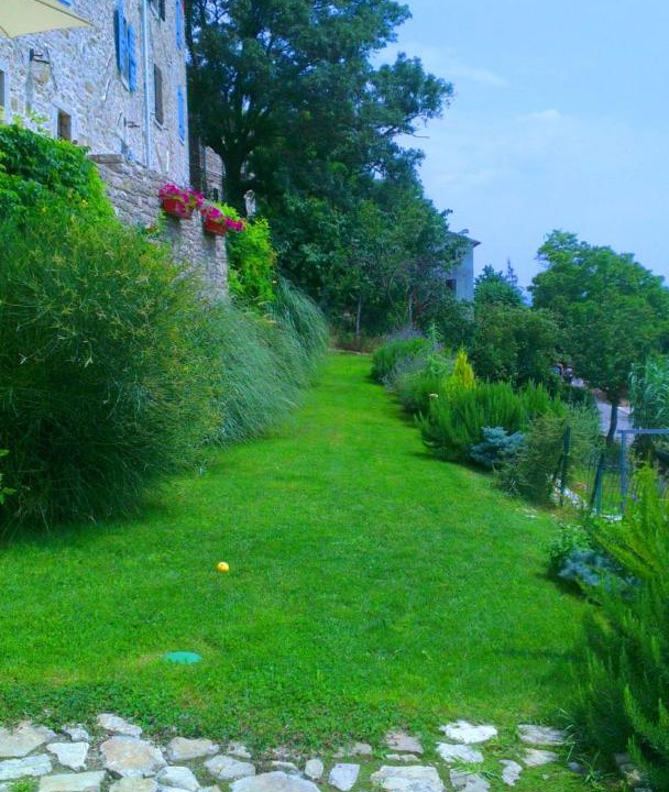 Photo of Others in Motovun