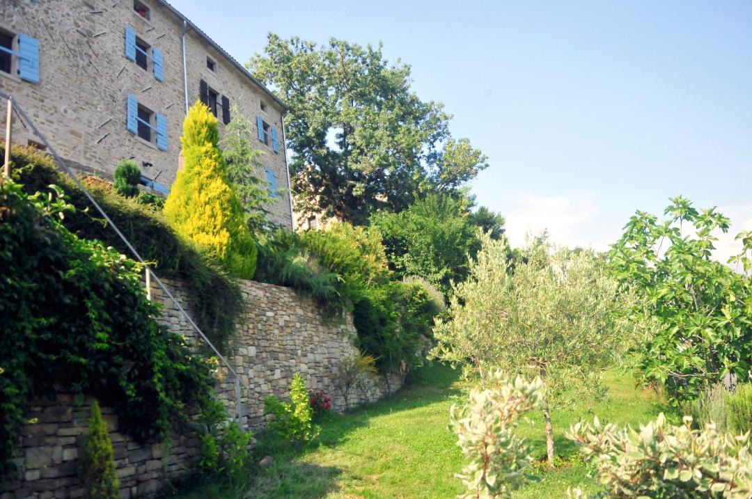 Photo of Others in Motovun