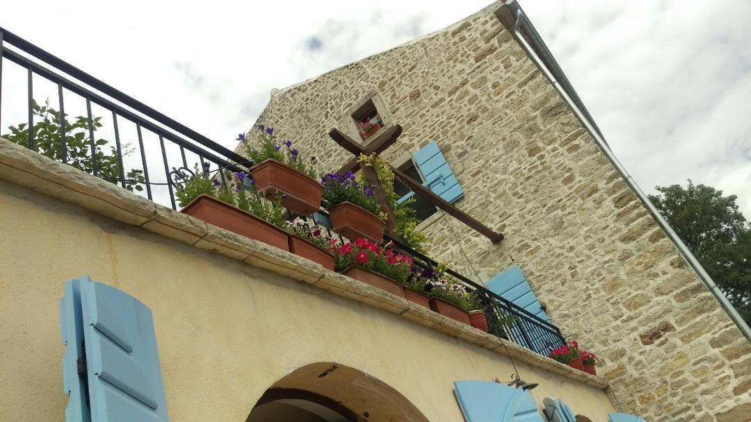 Photo of Others in Motovun
