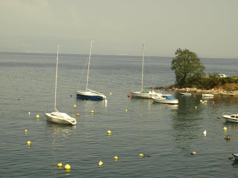 Photo of Others in Ika