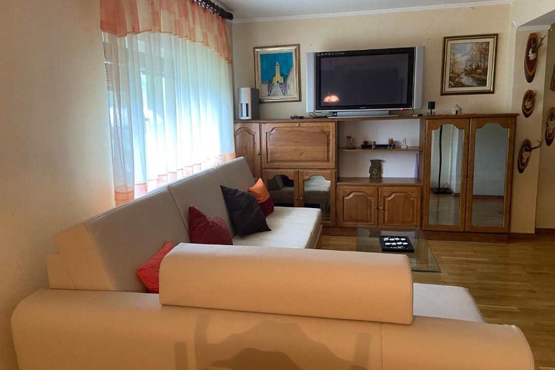 Photo of Livingroom in Fuzine