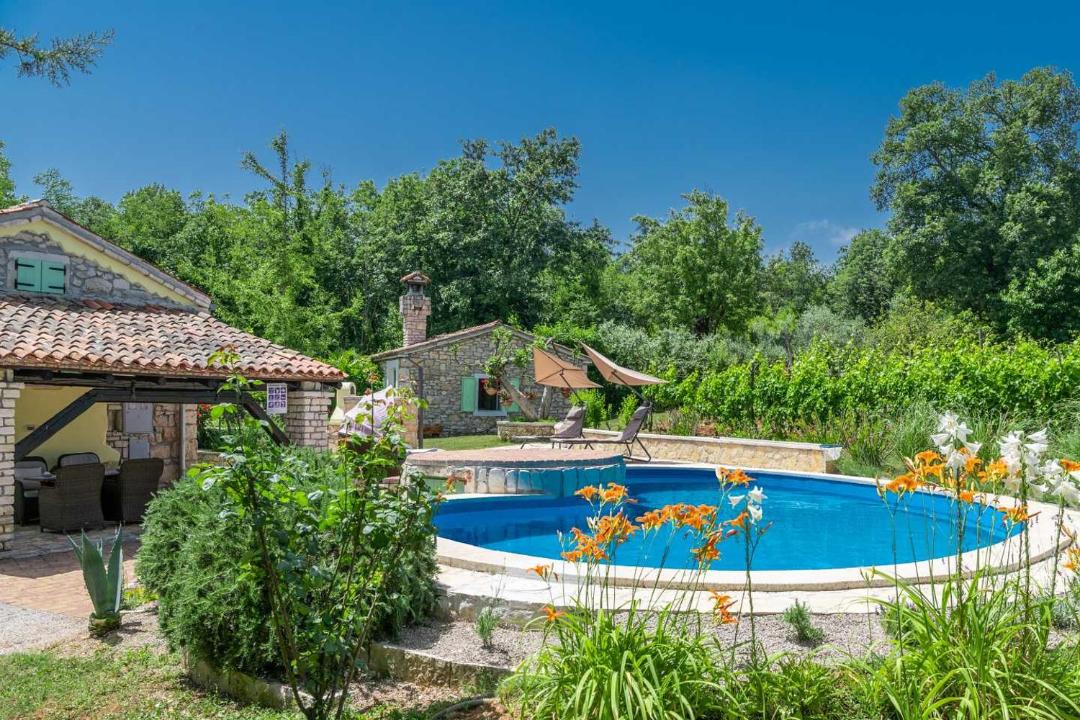 Photo of Outdoor in Zupanici