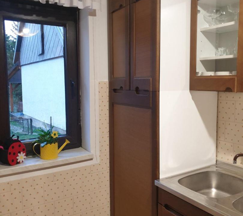 Photo of Kitchen in Ravna Gora