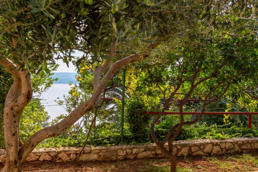 Photo of Outdoor in Marusici