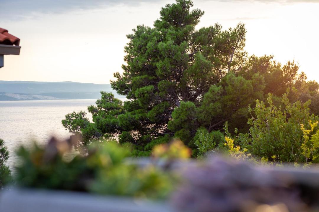 Photo of Outdoor in Marusici