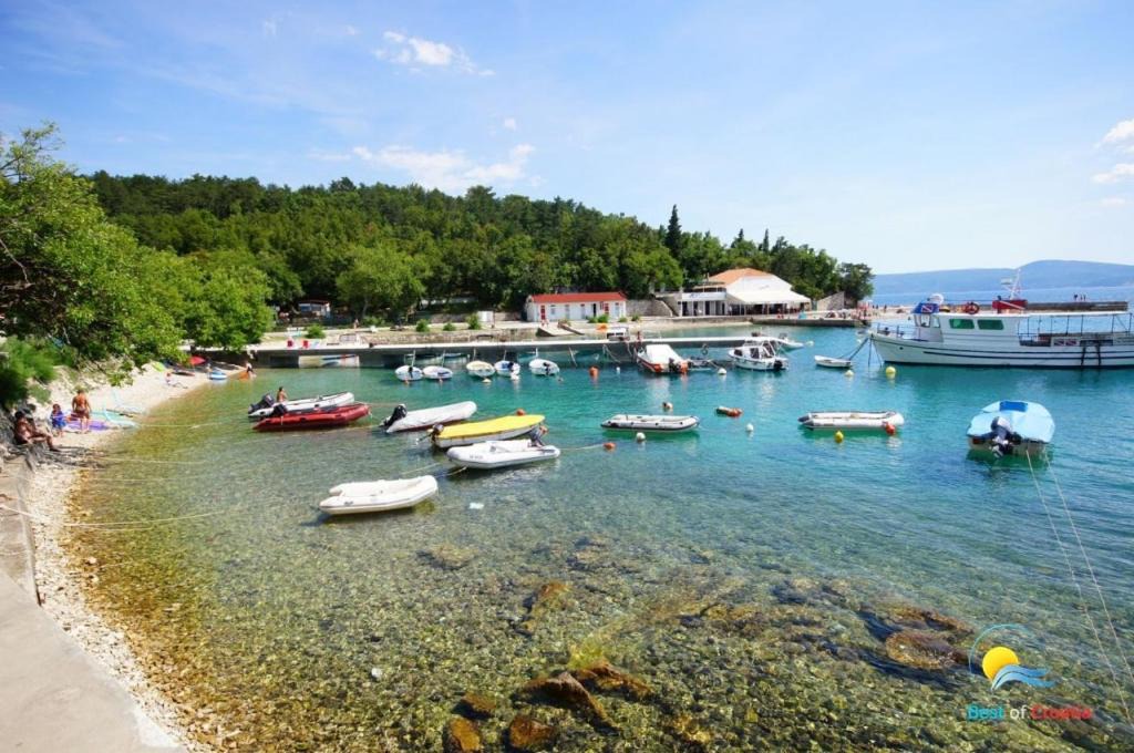 Photo of Others in Selce