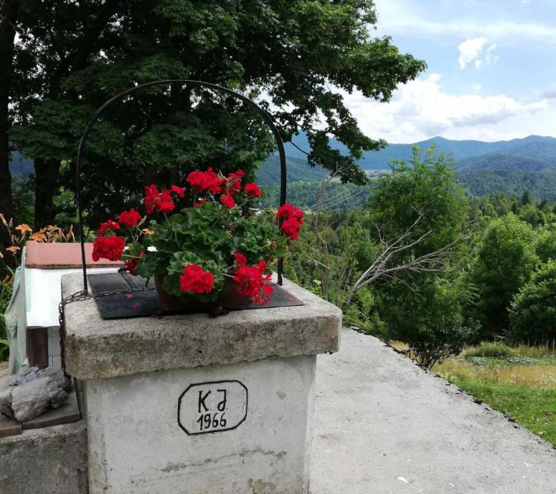 Photo of Others in Brestova Draga