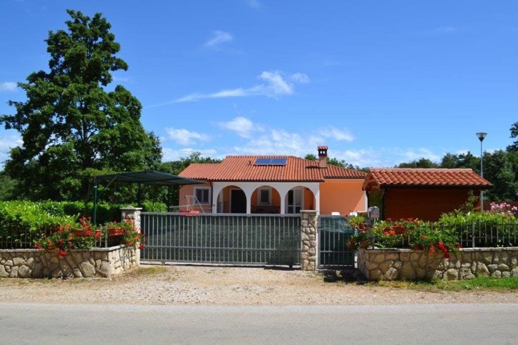 Photo of Others in Snasici