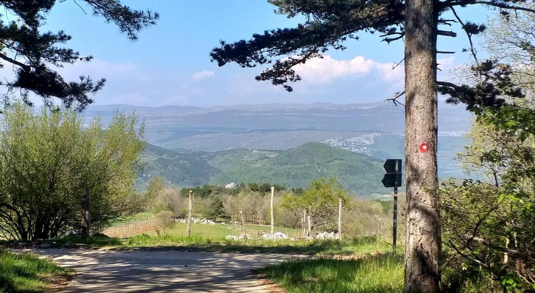 Photo of Others in Zrenj