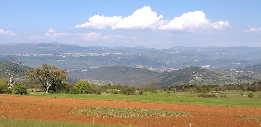 Photo of Others in Zrenj