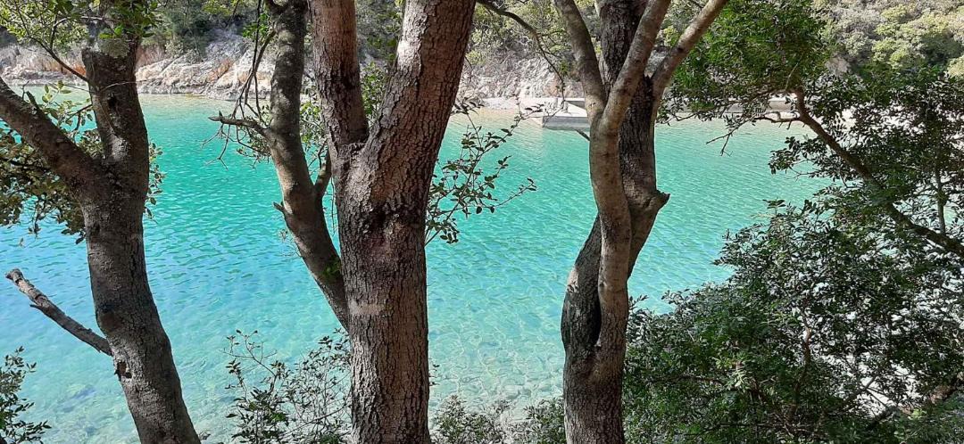 Photo of Others in Supetarska Draga