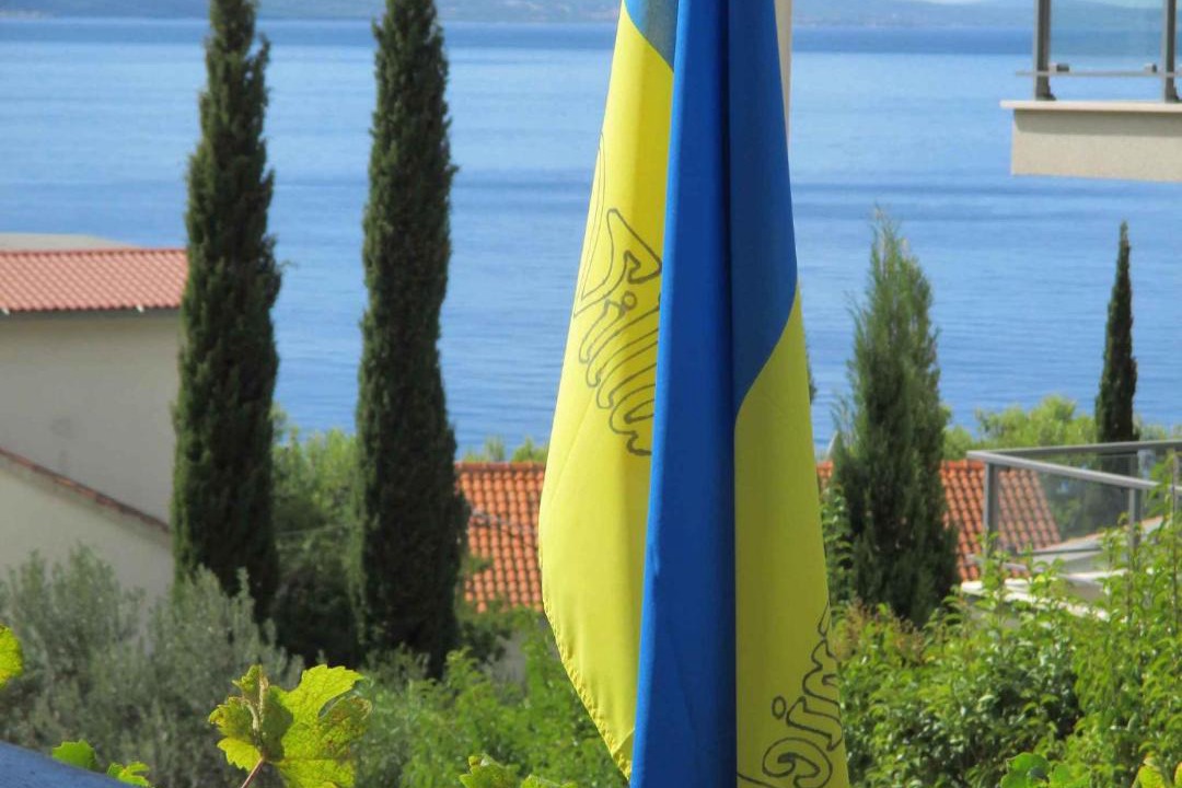 Photo of Others in Tice