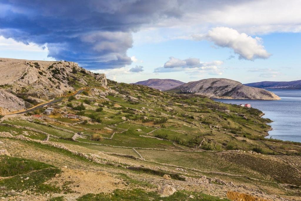 Photo of Others in Metajna