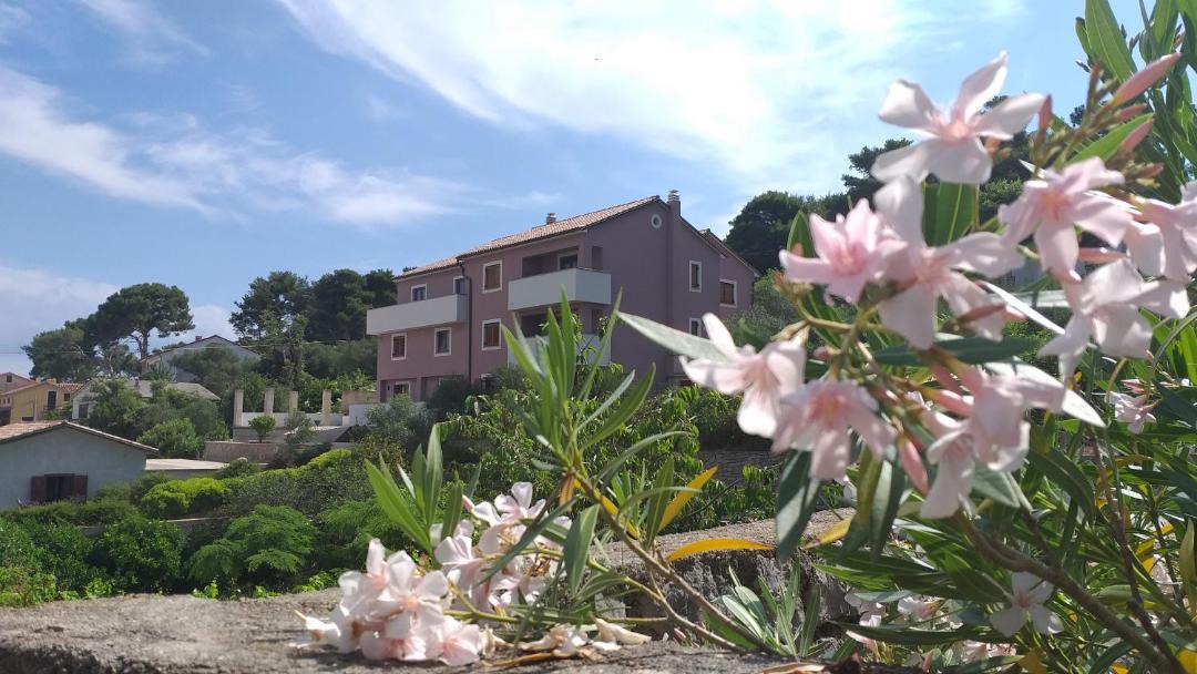 Photo of Others in Veli Losinj
