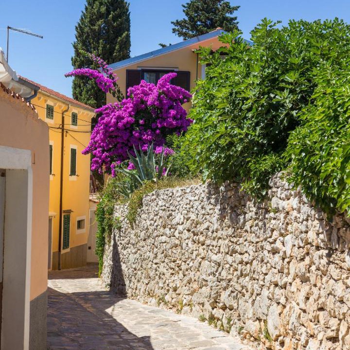 Photo of Others in Veli Losinj