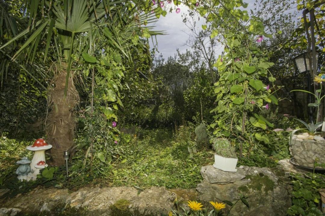 Photo of Others in Rasopasno
