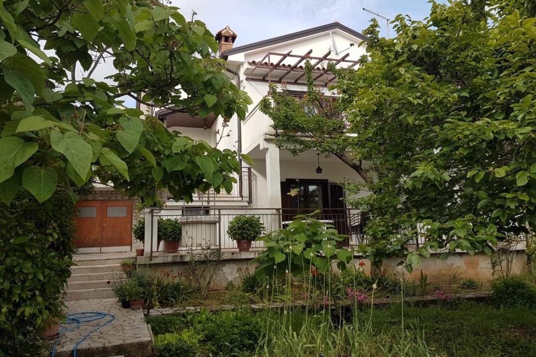 Photo of Others in Miholascica