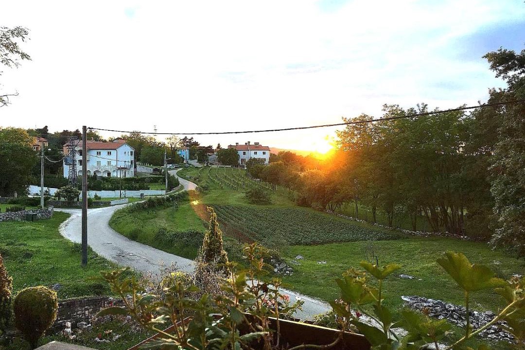 Photo of Outdoor in Boljevici
