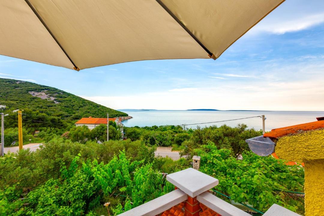 Photo of Others in Miholascica