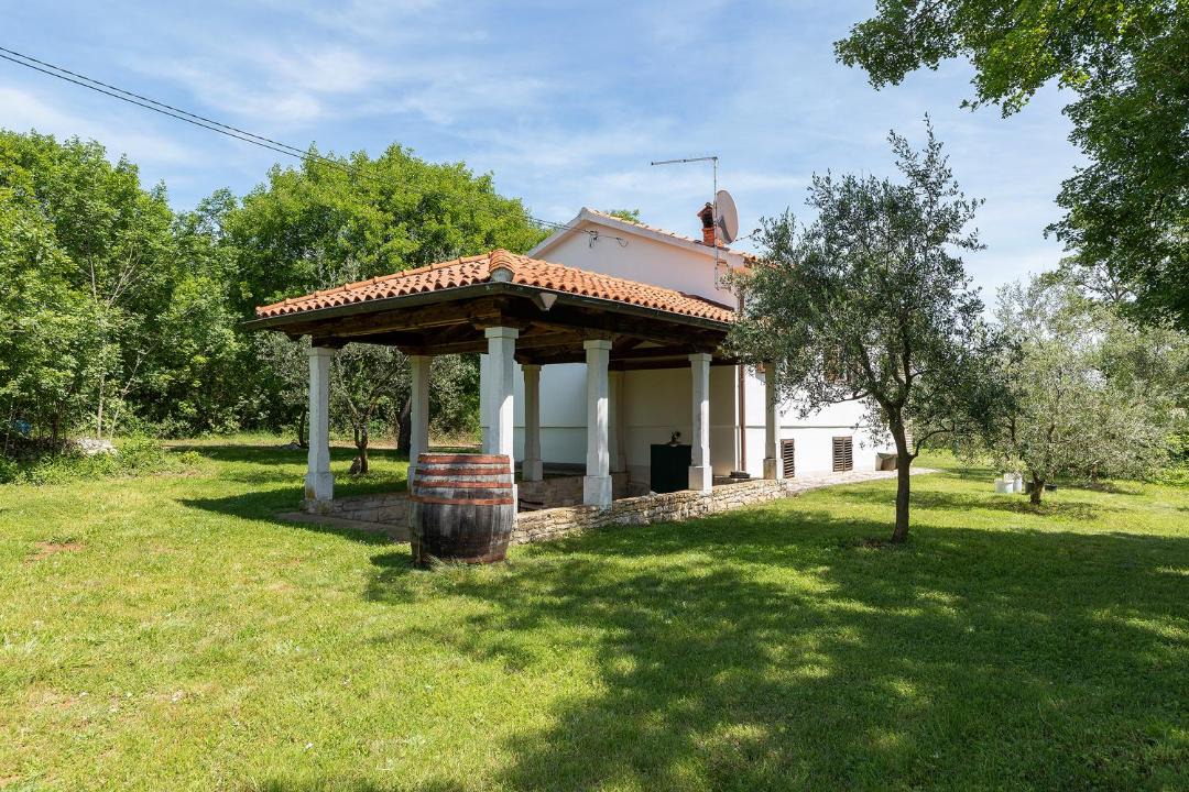 Photo of Buildings in Rebici