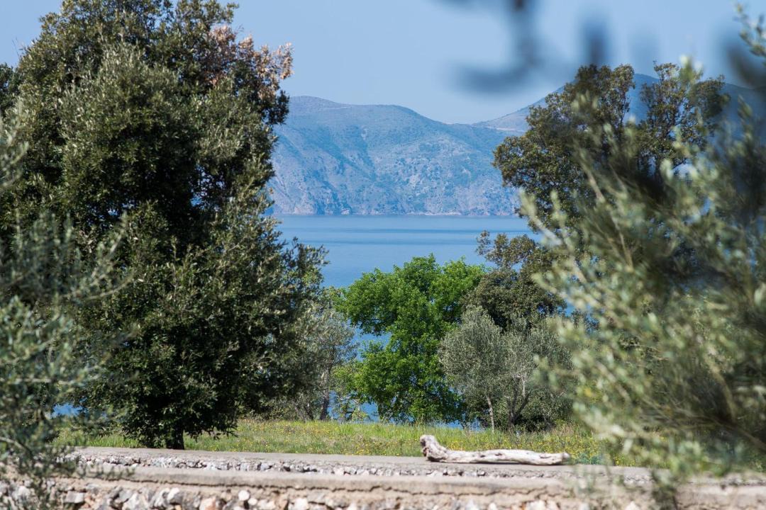 Photo of Outdoor in Krk