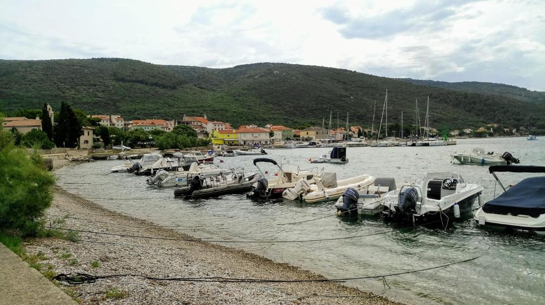 Photo of Others in Martinscica