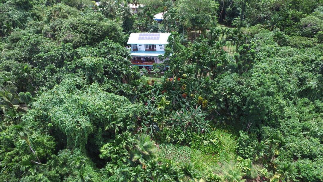 Photo of Others in Koror