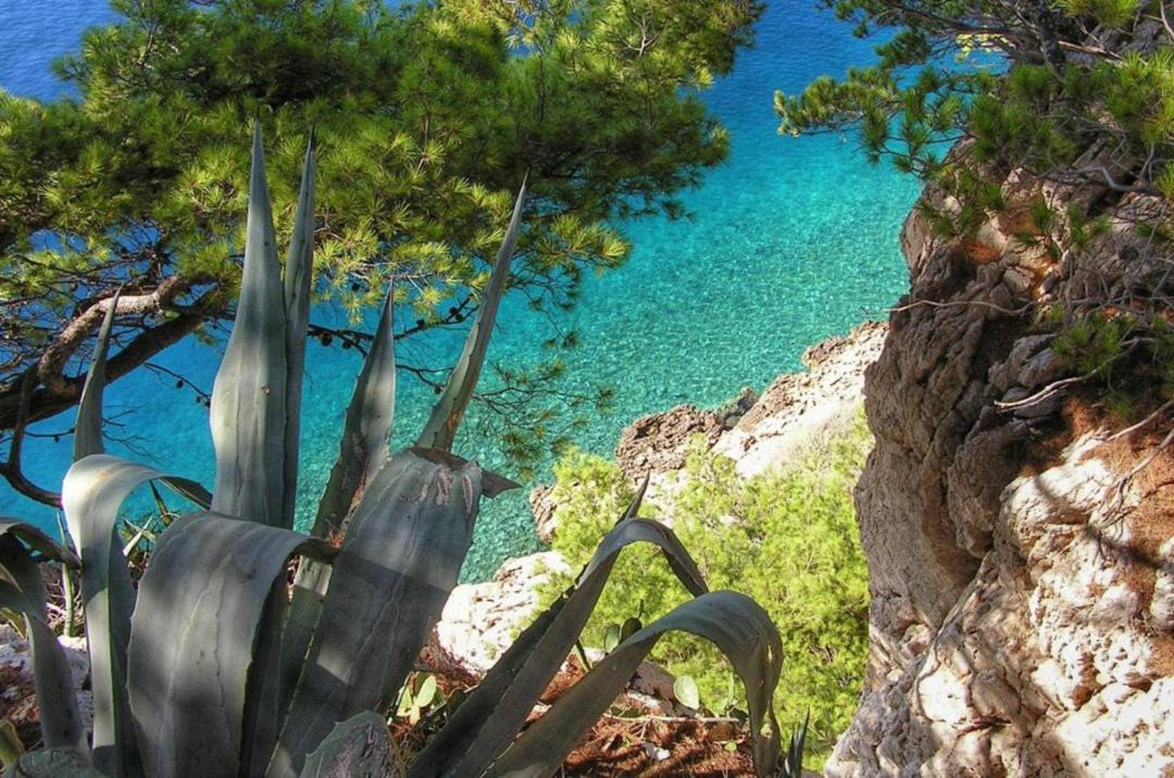 Photo of Outdoor in Vela Luka