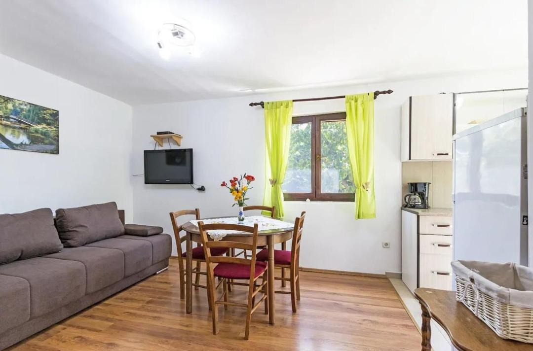 Photo of Livingroom in Loborika