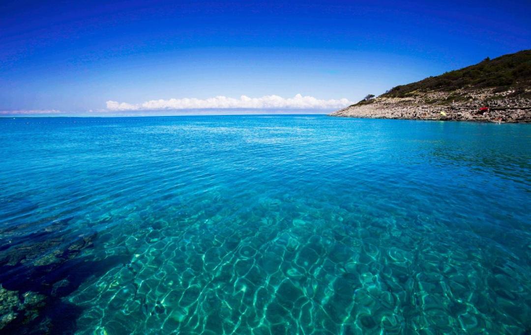 Photo of Others in Cove Murtar