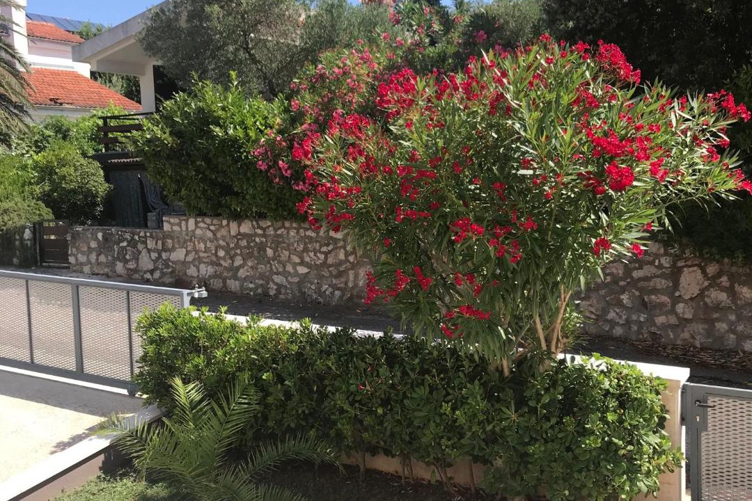 Photo of Others in Artatore