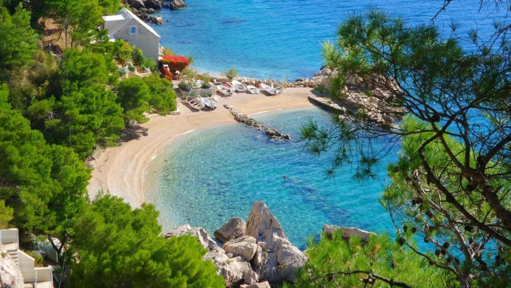 Photo of Others in Marusici