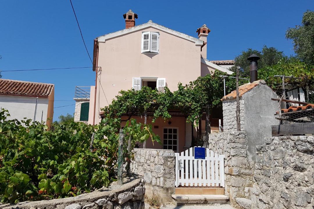 Photo of Others in Miholascica