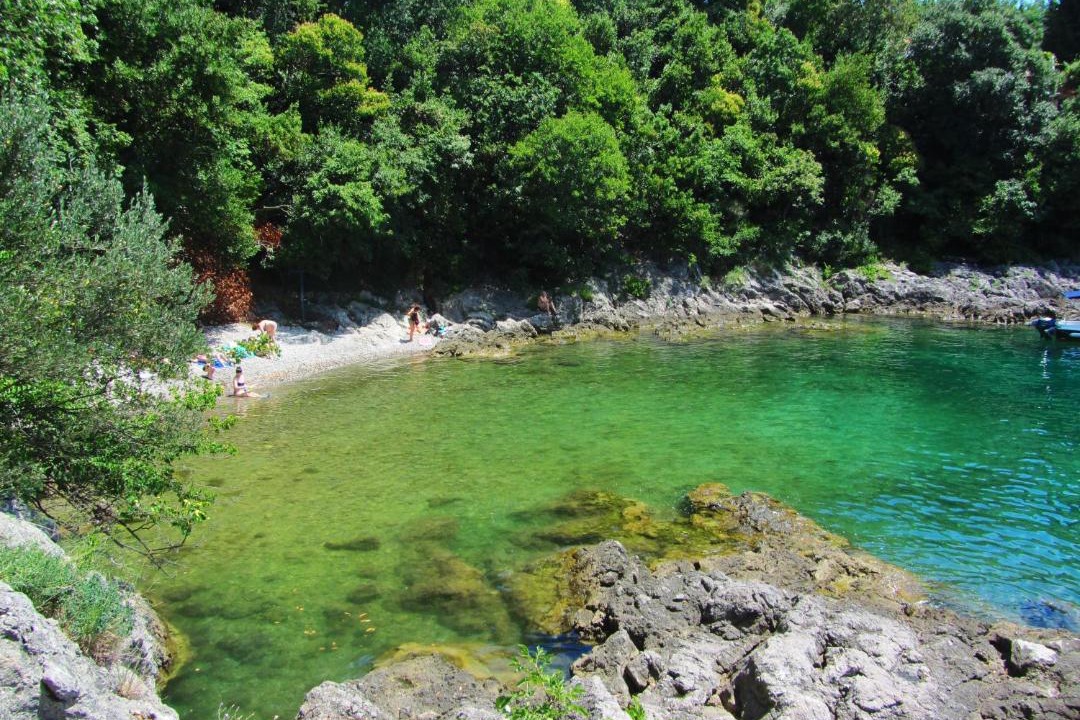 Photo of Outdoor in Sarsoni