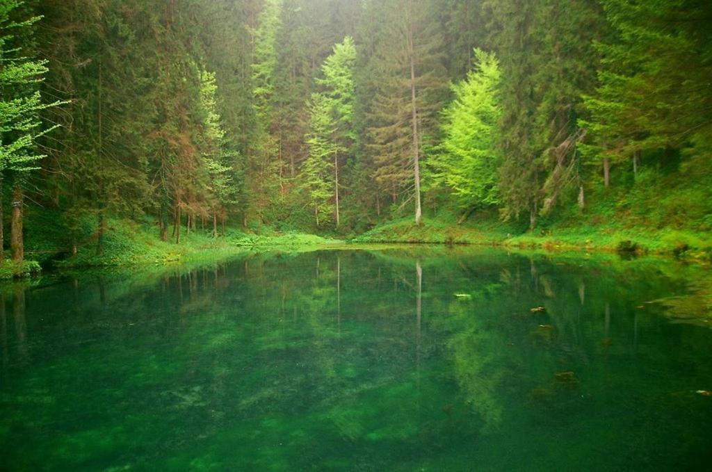 Photo of Others in Vrbovsko